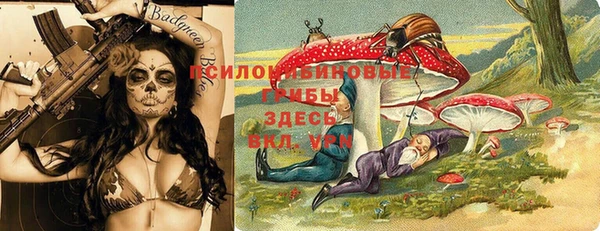 mdpv Белокуриха