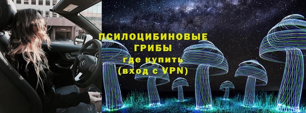 mdpv Белокуриха