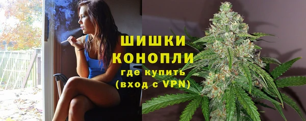 mdpv Белокуриха