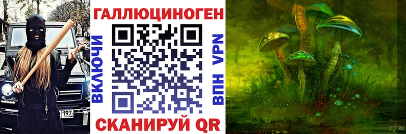 Псилоцибиновые грибы мицелий  Яблоновский 